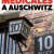 Made in Auschwitz: The Untold Story of Block 10 Made.In.Auschwitz.2019.1080p.WEBRip.x265-RARBG