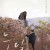 눈발 A Stray Goat A.Stray.Goat.2016.KOREAN.1080p.NF.WEBRip.DDP5.1.x264-PLB