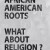 African American Roots African.American.Roots.2020.FRENCH.1080p.AMZN.WEBRip.DDP2.0.x264-PTP
