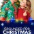 Grounded for Christmas Grounded.for.Christmas.2019.1080p.WEBRip.x265-RARBG