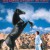 검은 종마 2 The Black Stallion Returns The Black Stallion Returns (1983) [1080p] [BluRay] [5.1]