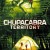 추파카브라: 죽음의 습격 Lair of the Beast Chupacabra.Territory.2016.1080p.WEBRip.x265-RARBG