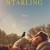 릴리와 찌르레기 The Starling 2021.1080p.KOR.HEVC.AAC-JTC