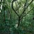 비탄의 정글 Selva Tragica, Tragic Jungle,2020.1080p.KOR.FHDRip.H264.AAC-JTC