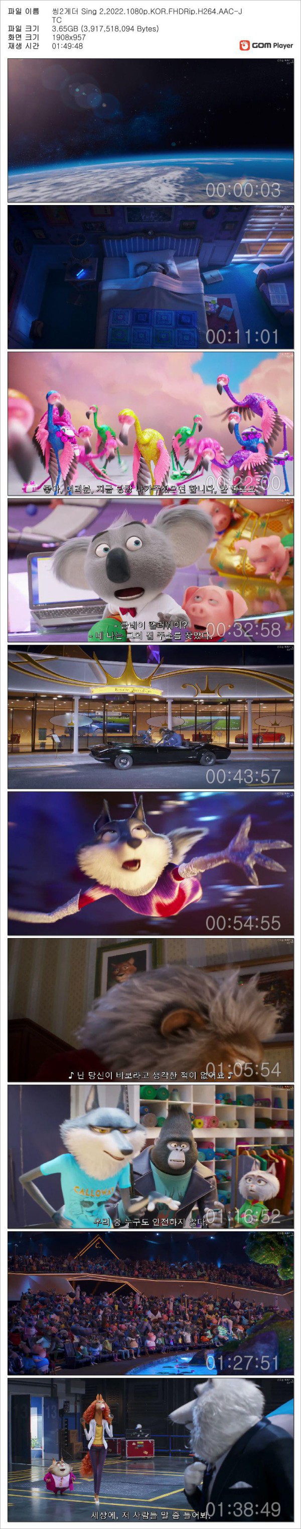 17509527392146.jpg