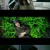 메이킹 패밀리 Making Family,2016.720p.KOR.HDRip.H264.AAC-REEL.mp4