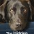 반려동물의 숨겨진 슈퍼파워 The.Hidden.Lives.of.Pets.S01.1080p.NF.WEBRip.DDP5.1.x264-KOGi