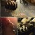 더 노비스 THE NOVICE,2022.1080p.KOR.FHDRip.H264.AAC-REEL