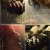 더 노비스 The.Novice.2021.1080p.WEBRip.DD5.1.x264-NOGRP