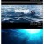 샤크 베이트 Shark Bait,2022.720p.KOR.HDRip.H264.AAC-REEL
