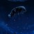 놉 NOPE, 2022 #1080p TELESYNC x265-iDiOTS