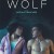울프 Wolf.2021.1080p.NF.WEB-DL.DDP5.1.x264-GNom