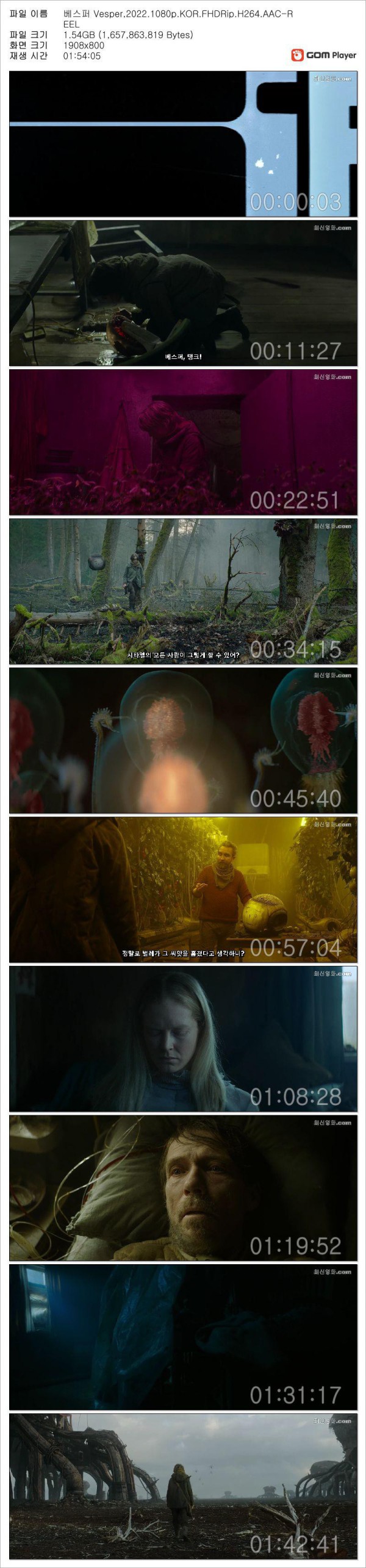 17509824194824.jpg