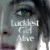 럭키스트 걸 얼라이브.Luckiest.Girl.Alive.2022.720/1080p.10bit.WEBRip.6CH.x265.HEVC-PSA