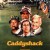 캐디쉑 Caddyshack.1980.1080p.BluRay.x264.DTS-FGT