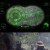 에일리언 프레데터 워 Alien Predator War,2022.1080p.KOR.FHDRip.H264.AAC-REEL.mp4
