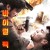 바이럴 팩터.The.Viral.Factor.2012.CHINESE.1080p.BluRay.H264.AAC-VXT