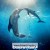 돌핀 테일 2 Dolphin.Tale.2.2014.1080p.BluRay.x265-RARBG