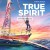 트루 스피릿 True Spirit (2023) [1080p] [WEBRip] [5.1] [YTS.MX]