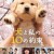 강아지와 나의 열 가지 약속.10 Promises to My Dog (2008) [1080p] [WEBRip] [YTS.MX]