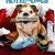 강아지 호텔 Hotel for Dogs (2009) [1080p] [BluRay] [YTS.MX]