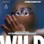 와일드 Wild.2016.GERMAN.1080p.WEBRip.x265-VXT