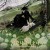 바깥 나라의 소녀 The Girl From the Other side.2023.1080p.KOR.FHDRip.H264.AAC-JTC