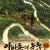 아마존의 눈물 Tears in the Amazon,2010.1080p.WEBRip.H264.AAC