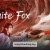백연 White Fox.2023.1080p.KORSUB.WEBRip.H264.AAC