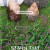 물꽃의 전설 Legend of the Waterflowers,2023.1080p.WEBRip.H264.AAC