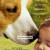 안녕 베일리 A Dog's Journey,2019.1080p.KORSUB.WEBRip.H264.AAC