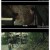 기우천연 ,2024.1080p.KORSUB.WEBRip.H264.AAC