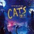캣츠 Cats.2019.1080p.BluRay.DDP5.1.x265.10bit-GalaxyRG