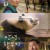 안녕, 할부지 My Dearest Fu Bao, 2024.1080p.WEBRip.H264.AAC