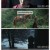 칼잡이 늑대 ,2024.1080p.KORSUB.WEBRip.H264.AAC