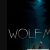 울프맨.Wolf.Man.2025.1080p.10bit.WEBRip.6CH.x265.HEVC-PSA