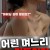 어린 며느리 길들이기 2022.720p.HDRip.H264.AAC