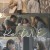Re-LOVE(리-러브) Re-LOVE,2022.1080p.FHDRip.H264.AAC-NonDRM