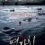 연가시 Deranged.2012.BluRay.1080p.x265.10bit.DDP5.1-MiniHD