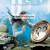 인어공주 My.Mother.The.Mermaid.2004.KOREAN.BRRip.XviD.MP3-VXT