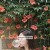 최악의 하루 Worst.Woman.2016.KOREAN.WEBRip.x264-VXT