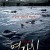 연가시 Deranged.2012.KOREAN.720p.BluRay.H264.AAC-VXT
