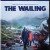 곡성 The Wailing (2016) (2160p BluRay x265 10bit HDR Tigole)