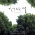 이어지는 땅 The Continuing Land,2024.1080p.WEBRip.H264.AAC