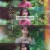소울메이트 Soulmate.2023.1080p.BluRay.x264.DTS-WiKi