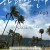 하와이 연가 Songs of Love from Hawaii, 2024.1080p.WEBRip.H264.AAC