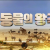 KBS1_동물의 왕국_E190805_방영중 토렌트