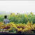 KBS1_UHD숨터_E722_방영중 토렌트