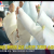 KBS2_생방송 아침이 좋다_E822_방영중 토렌트