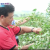 KBS1_6시 내고향_E0828_방영중 토렌트